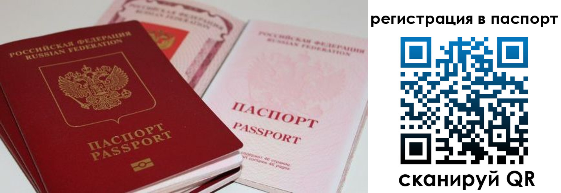 найти адрес прописки в Барыше